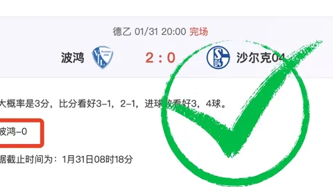 国家治理视域下：高水平开放进程持续推进