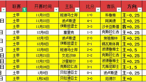 英超神锋接力！B费赛季进球数突破18，紧追哈兰德25球壮举！